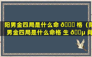 阳男金四局是什么命 🕊 格（阳男金四局是什么命格 生 🌵 肖龙）